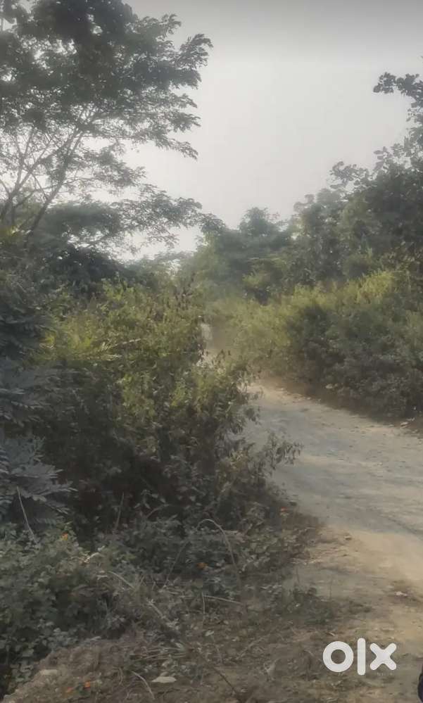 Registry motation plot on road chowka ichagarh