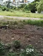 40CENT ORIGINAL LAND FOR SALE AT KADAVANTHRA
