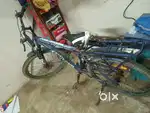 Avon cycle