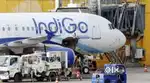 AIRPORT/AIRLINE JOBS GROUND STAFF CUSTOMER SERVICE AN AIRTICKETCOUNTER