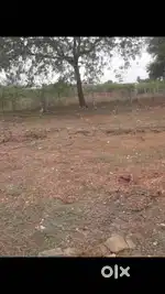 Aravai land sale