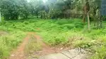 നമ്പ്യകുളത്തു പ്ലോട്ട് വില്പനക്ക്