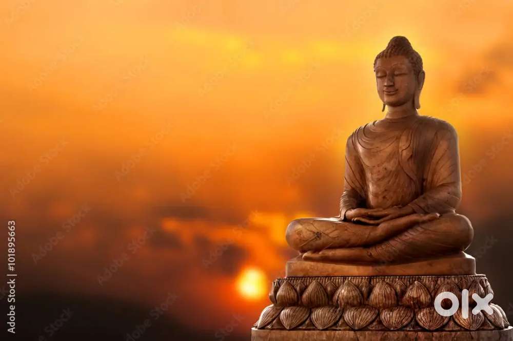 Fresher or experienced female therapist