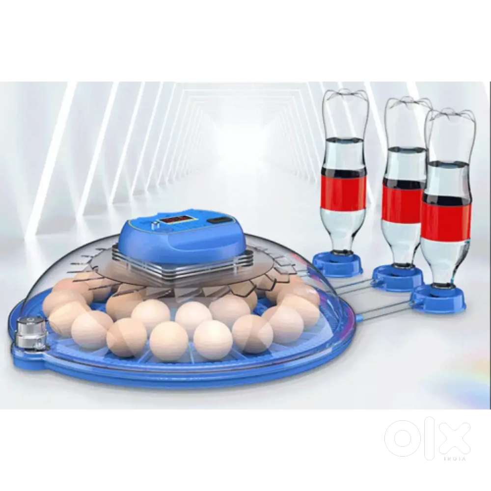 Chicken Incubator Brand New