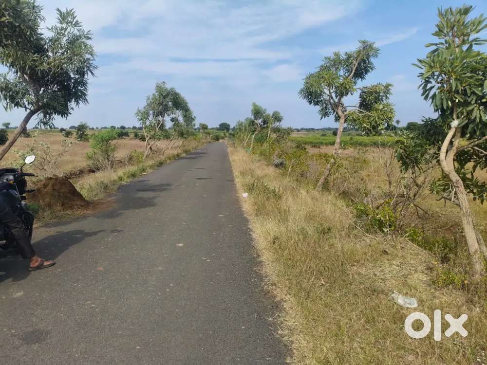 33 ft B.T Road_Personal Plot for Emergency SALE_N.H @ Narayankhed