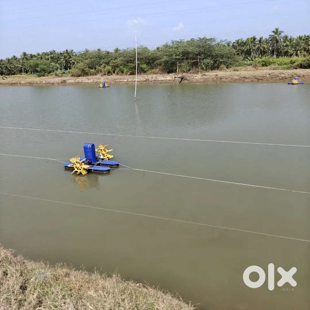 10.98 acres royyala cheruvulu (prawn) in Antharvedi, Gondi Village