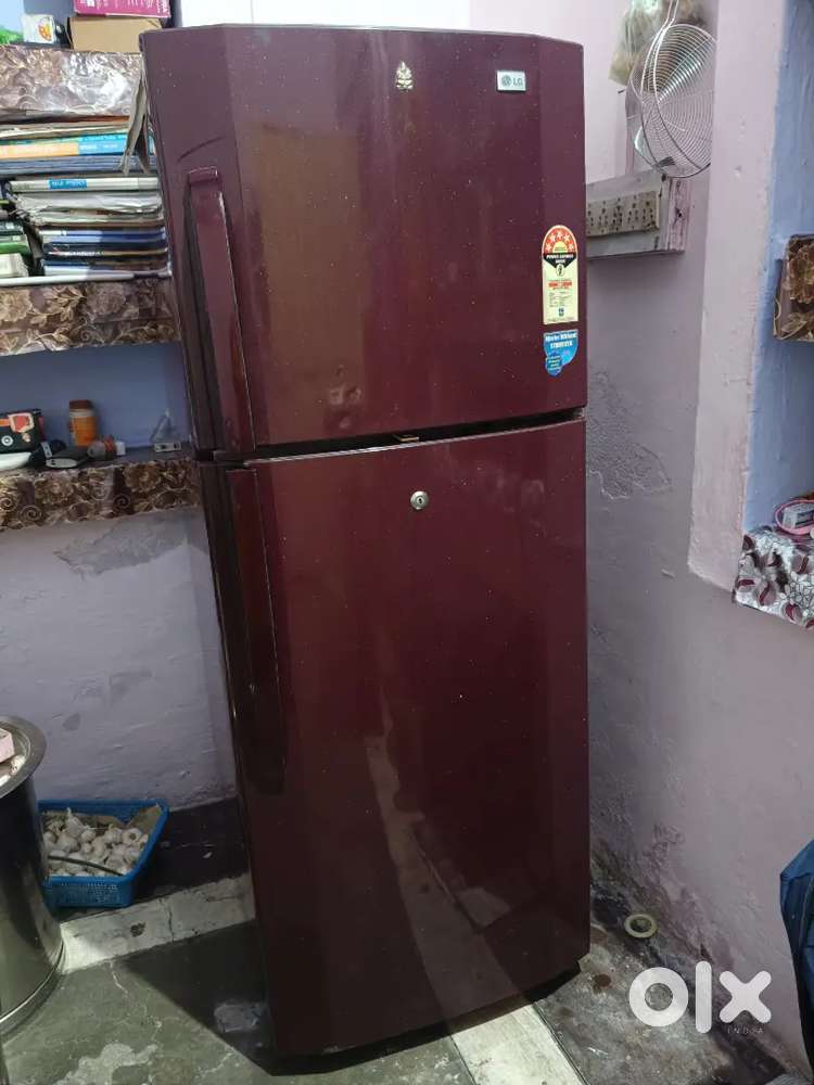 LG Refrigerator 240 Litter Dual Door Refrigerator