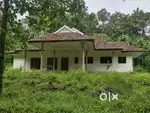 4BHK House with Nadumuttam near Pala
