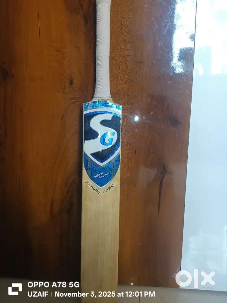 SG boundary classic (kashmir willow) New condition bat