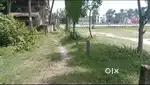 Prime 9 Kattha Land near AIIMS Kalyani & Bakkhali Dalkhola Flyover