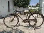 22 inch cycle