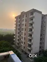 I m looking for working roommate