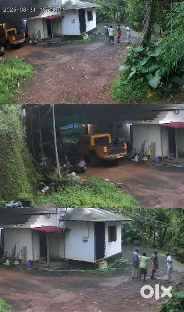 Looking for a lady cook and hostess