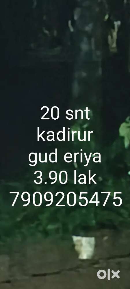 Kadirur koothuparambha