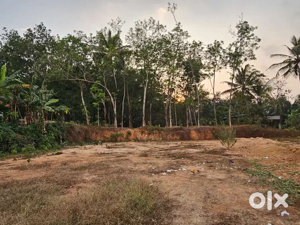 30 cent lorry access plot ( By plots or fully)