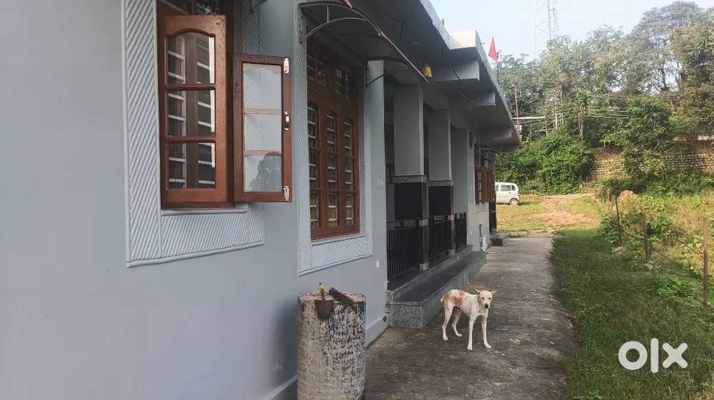 Near nift kangra