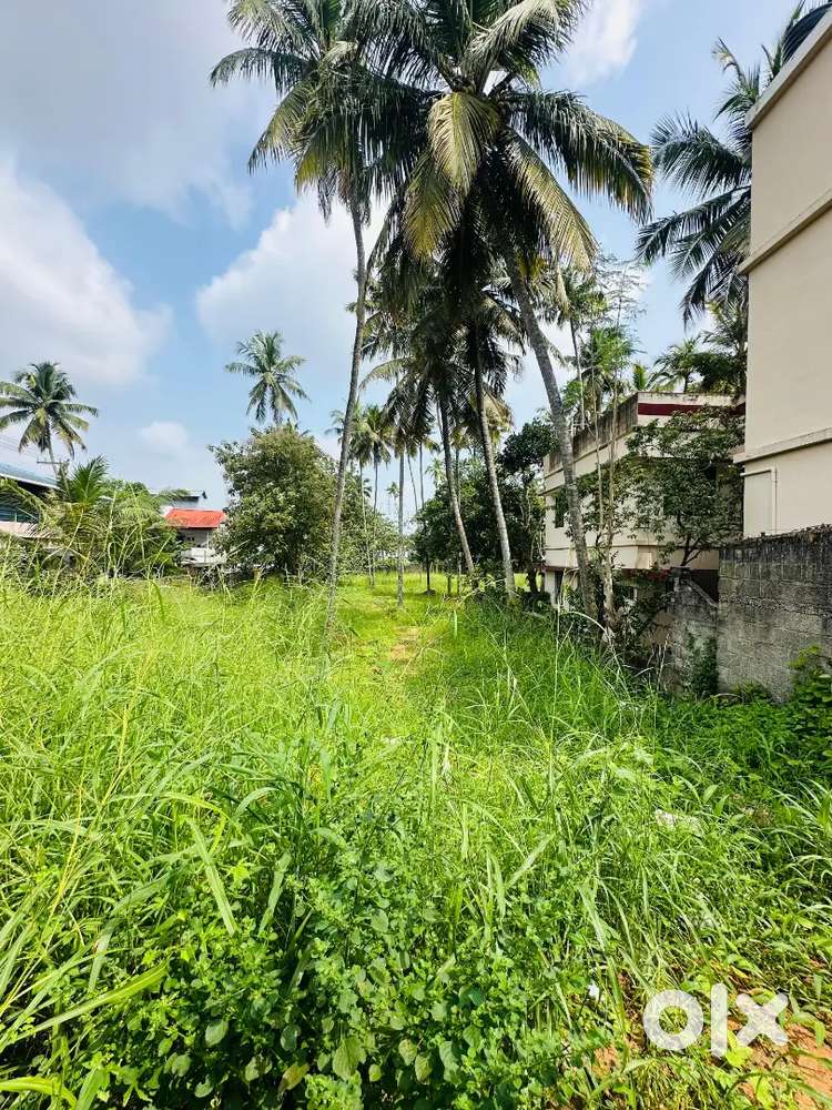 1.45 ACRES LAND SALE IN VELLAYANI JUNCTION
