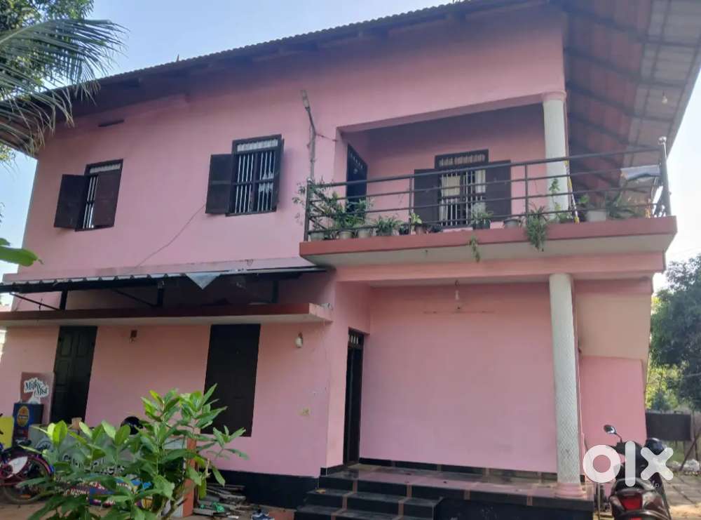 പുതിയകാവ് NH നു സമീപം 9000 രൂപ വാടക വീട് ഗ്രൗണ്ട് ഫ്ലോർ