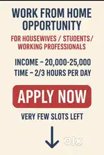 WORK FROM HOME