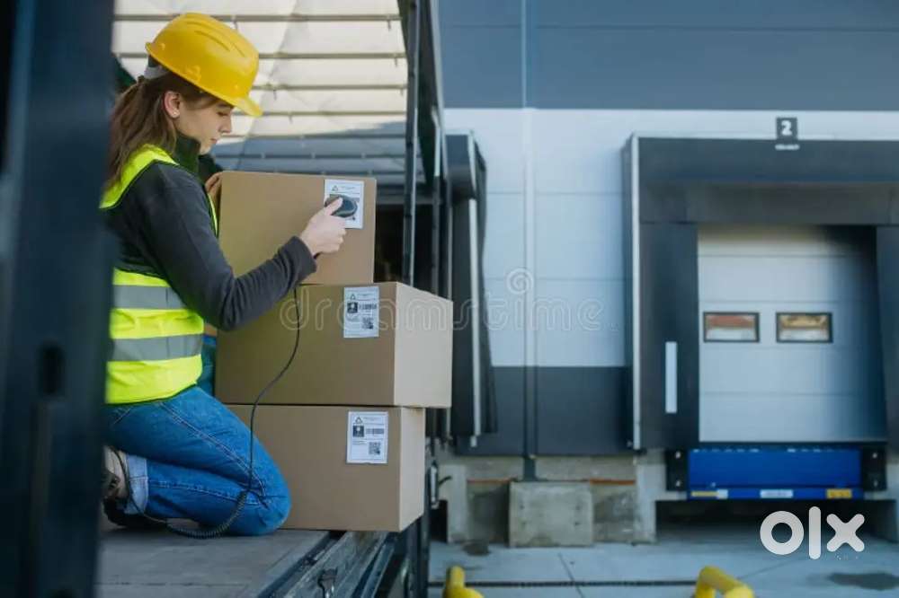 Urgent hiring freshers and experience candidates