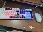 Keyboard and mouse