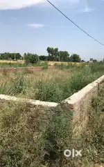 16 Marla plot for Sale near Balbir Hospital, Rai Colony