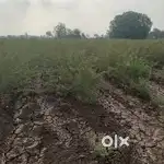Simalya land for sale
