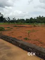 NEAR ANGAMALY APPOLLO HOSPITAL