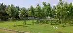 Low budget Teak farm land sale in kinathukadavu Coimbatore