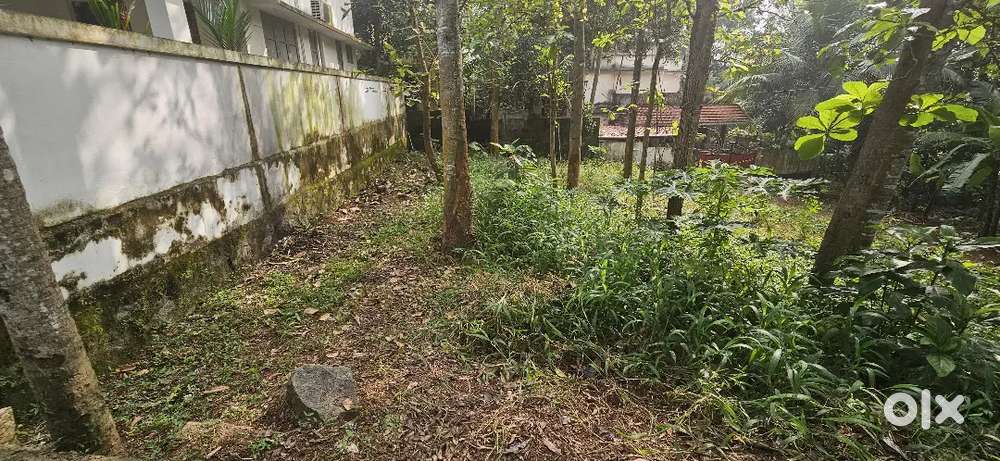 Plot For Sale near Amaravila CSI Church