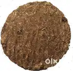 Cow dung best quality