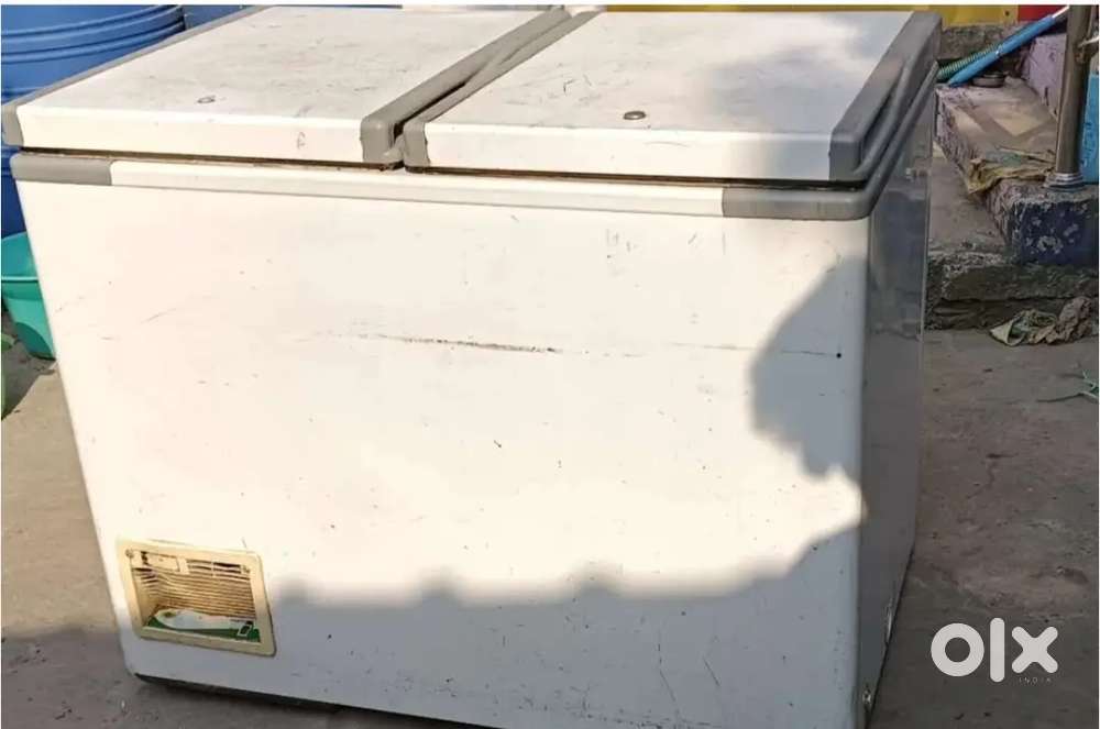 Western freezer