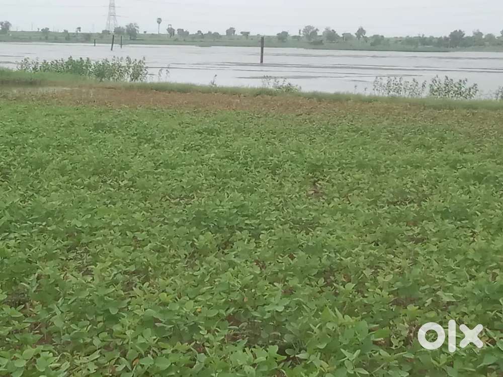 1.5 Acre Shet vikne ahe