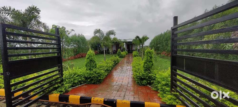 Farmhouse on Main road