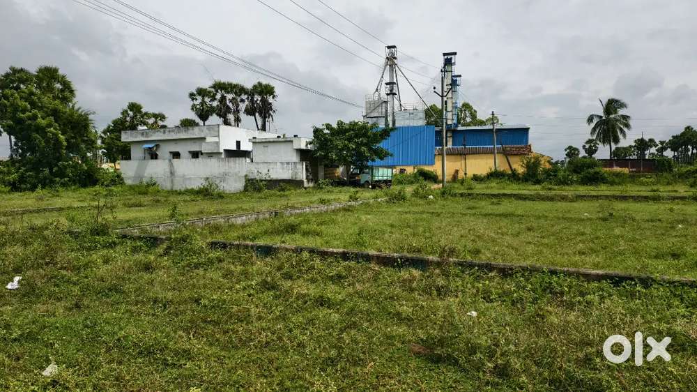 6km from Rajahmundry Airport, Korukonda, South West corner,