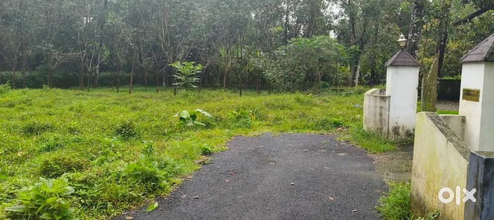 Kothamagalam - Karingazha 12 Cent Residential house plot for sale