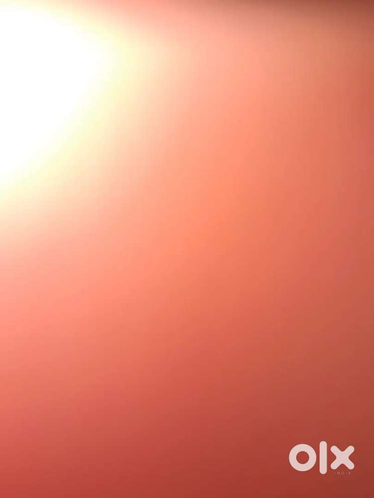 Delivery job for larg applliance tv wm