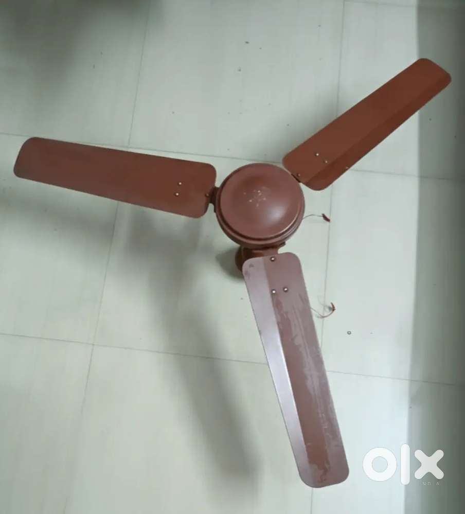 Crompton Greaves Ceiling Fan – Durable & Smooth Performance