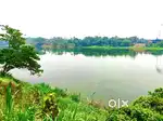 40 cent river side land for sale in kanjoor,Angamaly,aluva,airport