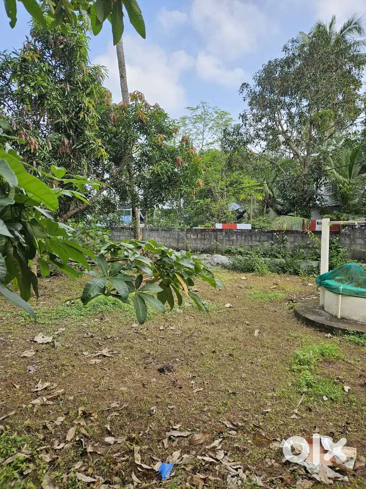 17 cent plot for sale. 6.5 lakh per cent. Prices negotiable.