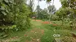 Residential Plot Sale Kothamangalam , House Plot Sale in Kothamangalam
