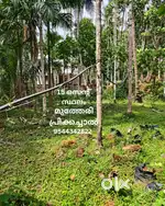 15 Cent plot for sale