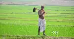 Valia taluka