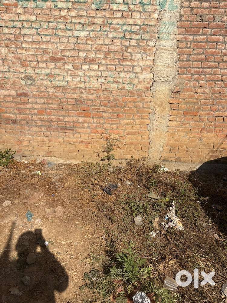 Please contact genuine