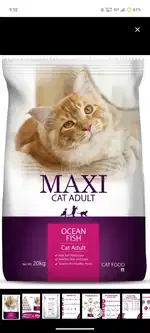 Maxi Persian adult cat food 20 kg
