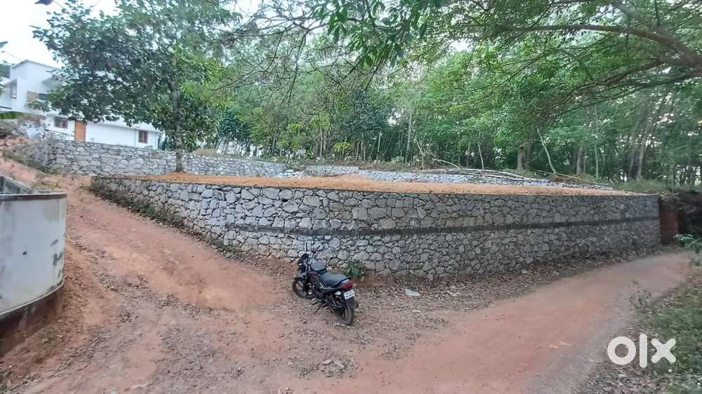 10 cent pothencode vavaraambalam