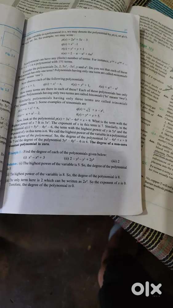 Tuition classes for 9th and 10th (maths and science) B-333 NFL COLONY