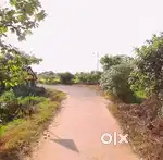 Owner Plot 8 guntha (14000sqft) near Balianta,  Bhubaneswar for sale