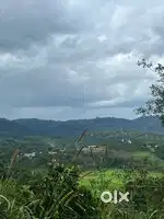 Wayanad tirunelli panjayath 1.10 acre low budjet cofee land selling
