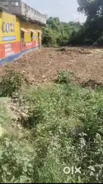 Fully commercial plot jaganpura main road